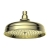 Signature Eternal Traditional Round Shower Head 200mm Diameter - Brushed Brass