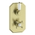 Signature Eternal Traditional Thermostatic 1 Outlet Concealed Shower Valve Dual Handle - Brushed Brass