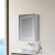 Signature Finley 1-Door LED Mirrored Bathroom Cabinet with Demister Pad 700mm H x 500mm W