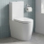 Signature Nazca Rimless Comfort Height Fully Back to Wall Close Coupled Toilet (inc Soft Close Seat) | Thumbnail Image