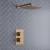 Signature React Thermostatic Dual Concealed Mixer Shower with Fixed Shower Head - Brushed Brass | Thumbnail Image