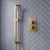 Signature React Thermostatic Concealed Shower Valve with Adjustable Slide Rail Kit - Brushed Brass | Thumbnail Image
