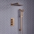 Signature React Thermostatic Triple Concealed Mixer Shower with Shower Kit + Fixed Shower Head - Brushed Bronze | Thumbnail Image