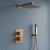 Signature React Thermostatic Dual Concealed Mixer Shower with Shower Kit + Fixed Shower Head - Brushed Bronze | Thumbnail Image