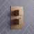 Signature React Thermostatic Dual Concealed Mixer Shower with Shower Kit + Fixed Shower Head - Brushed Bronze | Thumbnail Image