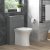 Signature Indus Back to Wall Rimless Toilet - Soft Close Seat