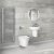 Delphi Fluid Wall Hung Rimless Toilet - Soft Close Seat