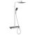Delphi Mojave Thermostatic Bar Mixer Shower with Shower Kit and Fixed Head - Black
