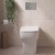 Verona Bella Back to Wall Toilet with Soft Close Seat | Thumbnail Image