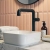 Verona Fontessa Matt Black Tall High Rise Basin Mixer Tap (inc Waste) | Thumbnail Image