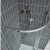 Verona Uno Quadrant Shower Enclosure 1000mm x 1000mm - 6mm Glass