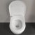 Villeroy & Boch Avento Rimless Wall Hung Toilet with Slim Seat