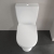 Villeroy & Boch O.novo Flush-to-Wall Close Coupled Pan with Push Button Cistern White Alpin - Excluding Seat