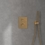Villeroy & Boch Universal Thermostatic Concealed Shower Valve Dual Outlet - Brushed Gold
