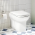 Vitra S20 Back to Wall Toilet - Soft Close Seat