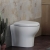 Vitra Zentrum Back to Wall Toilet - Quick Release Soft Close Seat