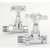 West Westminster Crosshead Straight Radiator Valves Pair Chrome