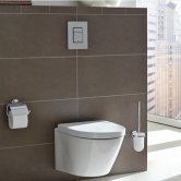 Grohe Flushing Solutions